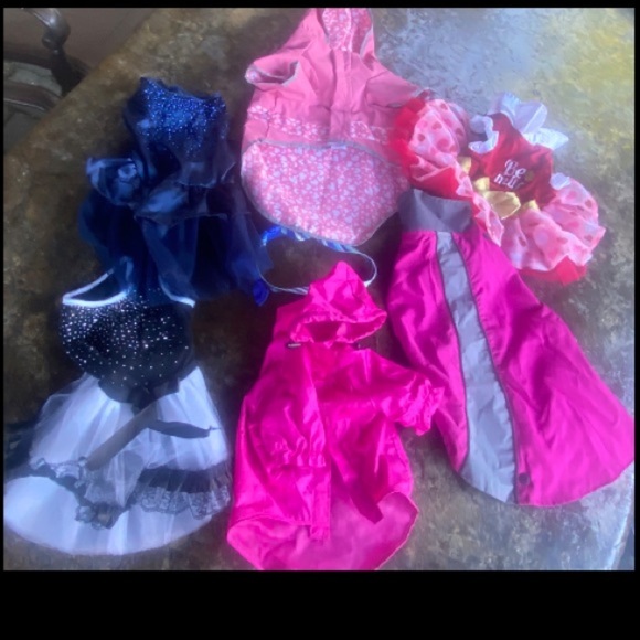 Top Paw Other - Lot 7 Top Paw female dog pet clothes costumes jacket sweater-dresses M/L EUC!
